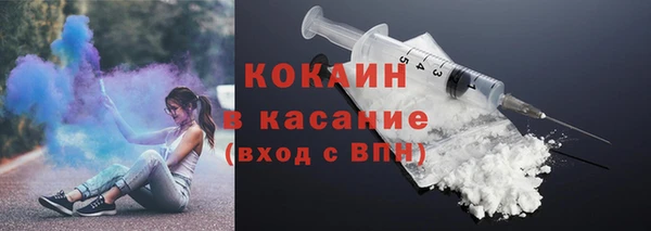 шишки Чита