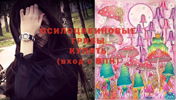 прущая мука Ладушкин