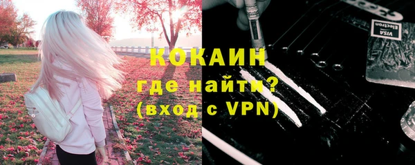 сатива Лагань