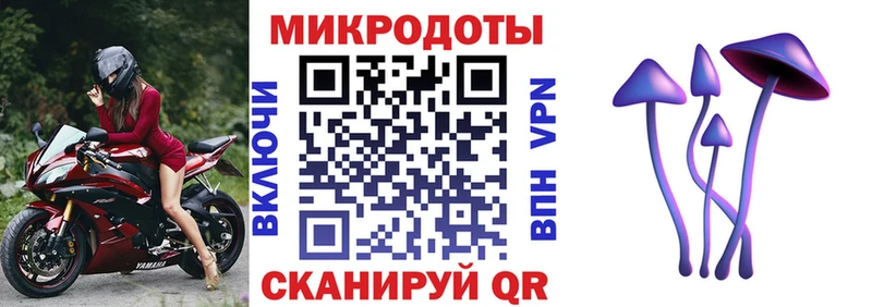 Купить где Облучье Псилоцибиновые грибы Psilocybine cubensis